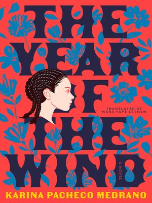 cover image of The Year of the Wind
